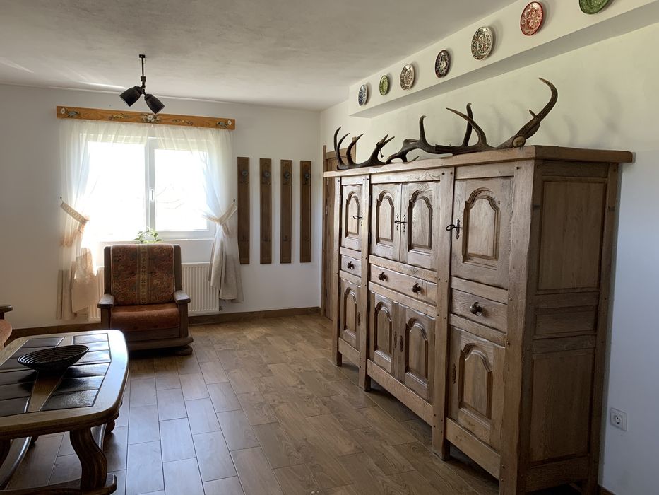 Vila la munte Vladeni-Brasov