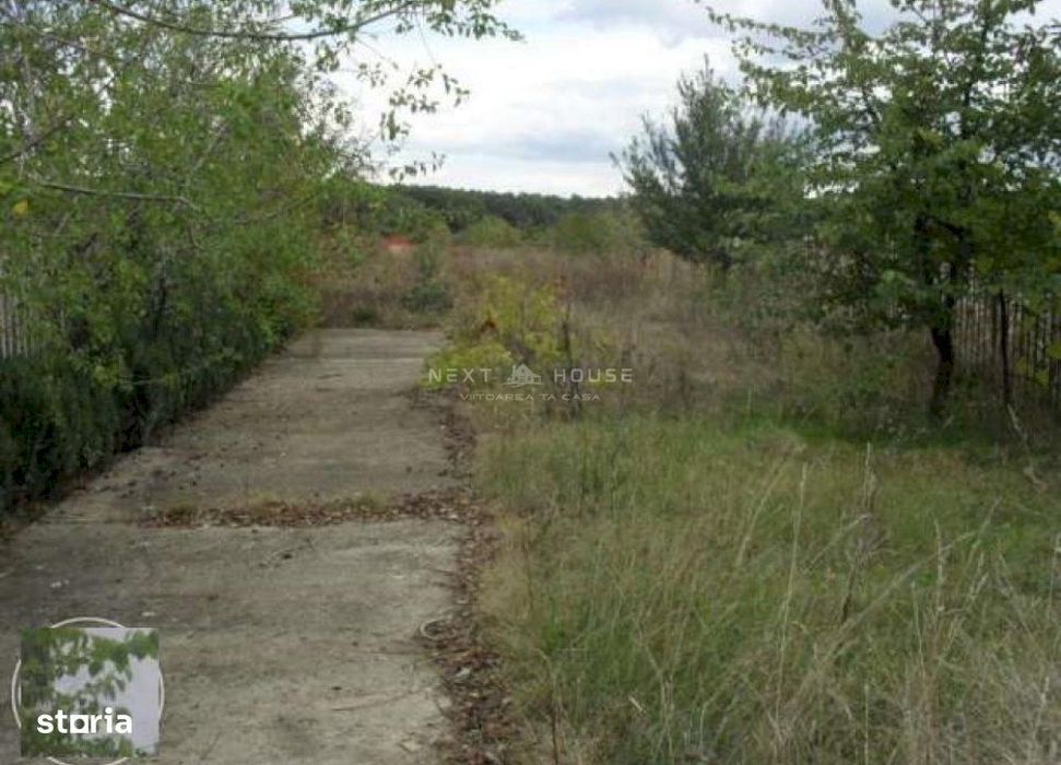 Casa Vacanta Izvorani