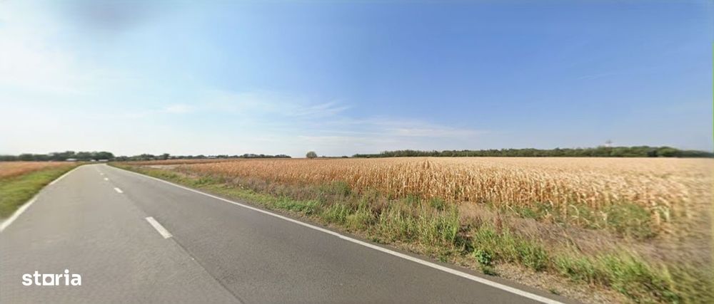Teren extravilan 5.050 mp Fundulea (Gostilele) – Deschidere la DJ 402
