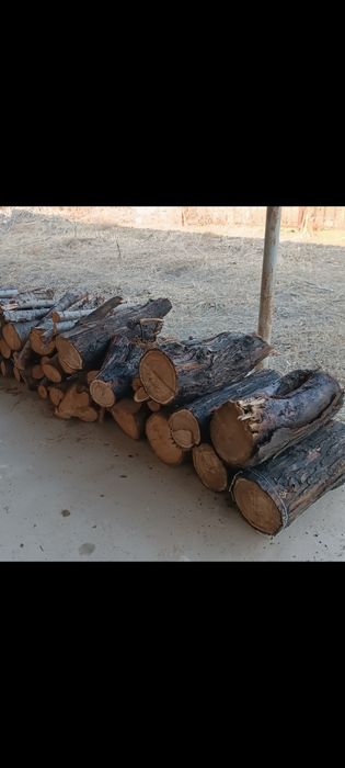 Утин, дрова, фруктовый Янгиюль