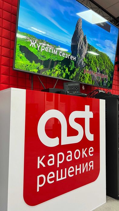 AST Zoom — компактная профессиональная караоке‑система