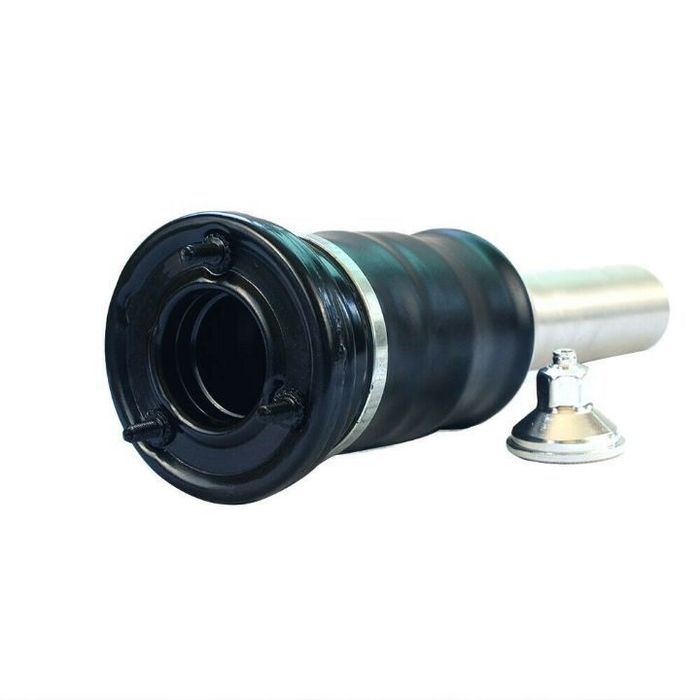 Perna spate Mercedes W220 S Class