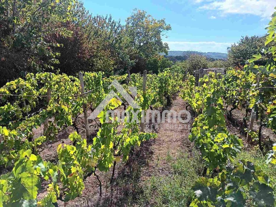 Къща в Варна, област-с.Осеново площ 70 цена 75990