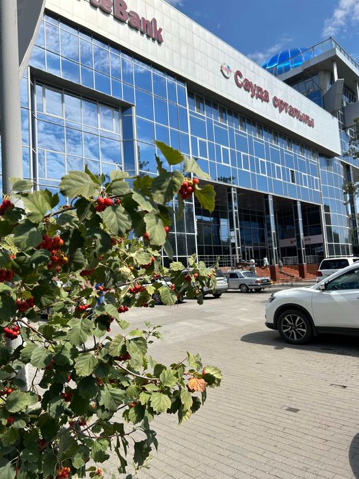 Сдам в аренду офис