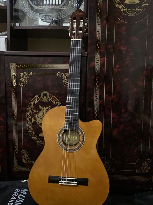 Гитары Валенсиа Вк 104ТС