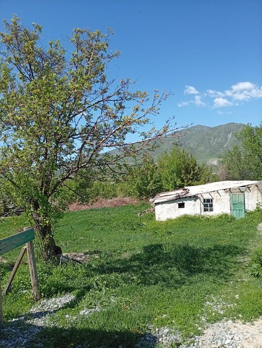 Продается дом.Островская 38.
