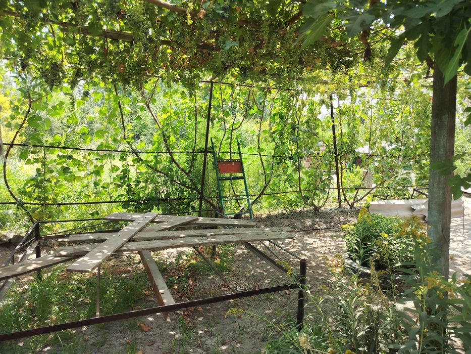 Уй сотилади 5 ҳона, ошҳона байни уй ичида, паравой атапления килинган.