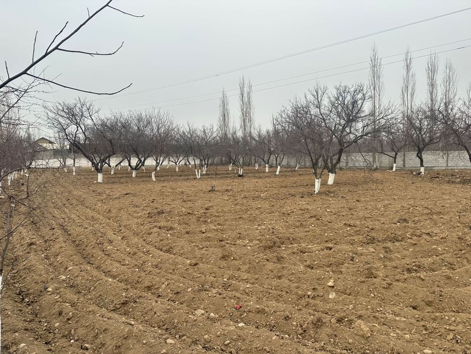 16 сотых ер зудлик билан сотилади