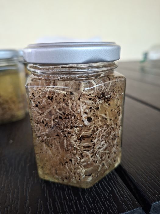 Miere de salcâm cu trufe,  o delicatesa. Borcanul de 200 ml