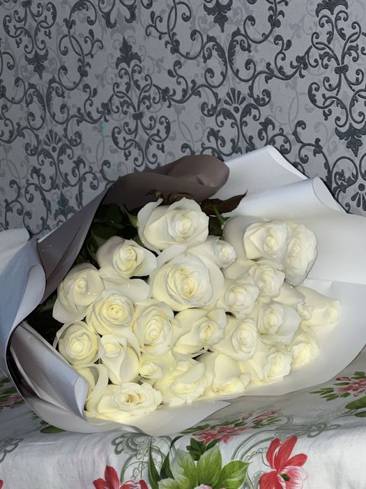 Роза галландский срочнаа