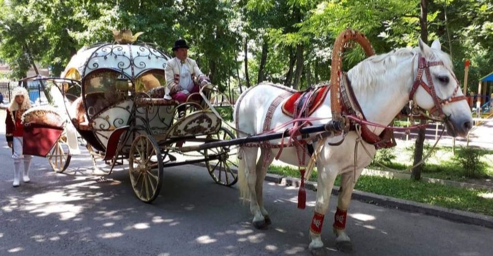 Катание на Каретах