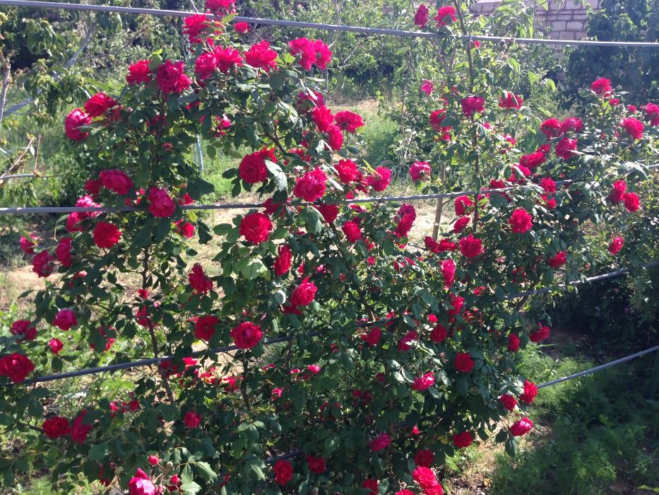 Производственная база.