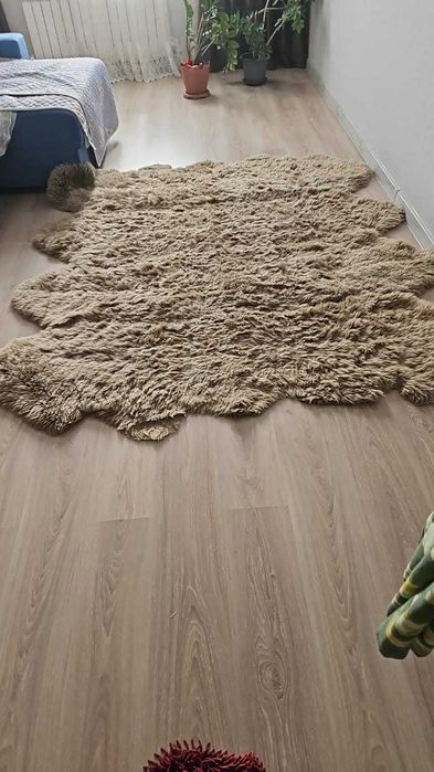 Ковер шкура медведя
