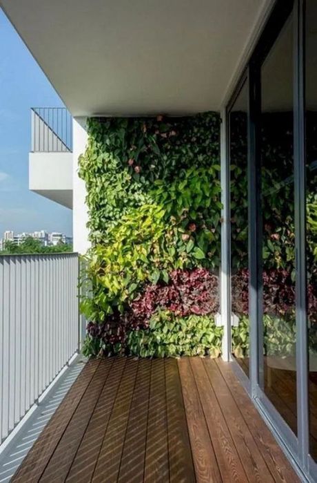 Suniy gazon VA eco zabor fitositina