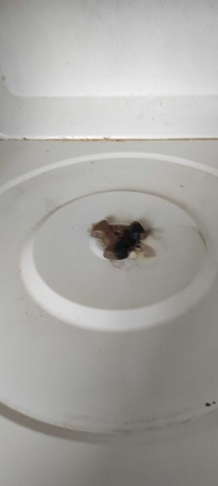 Микровълнова NEO