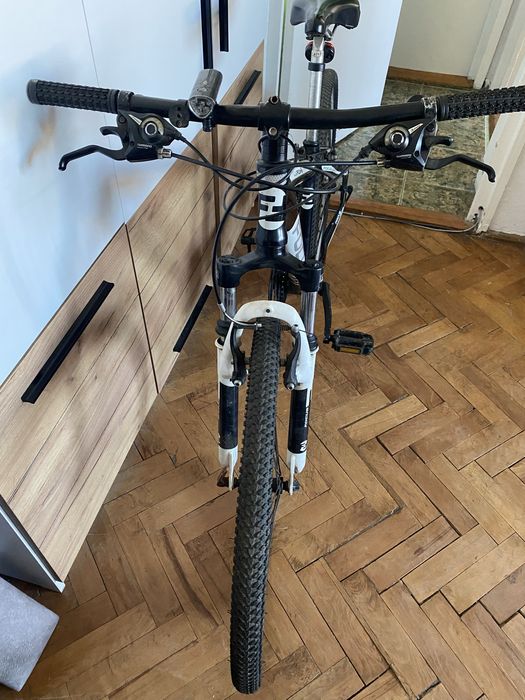 Bicicleta Focus Raven Rookie