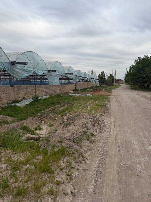 Чиноз туманида 1 гектар теплица сотилмоқда