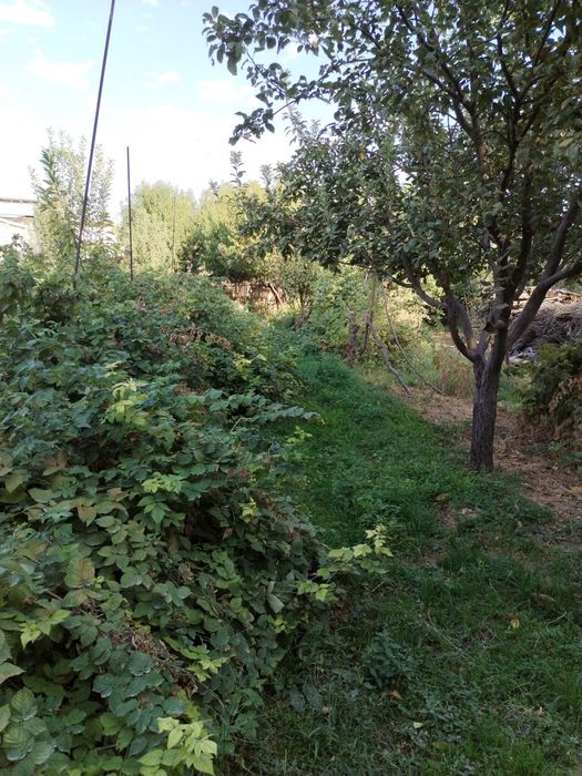 Yer sotilad(quruq yer) 4 sotix