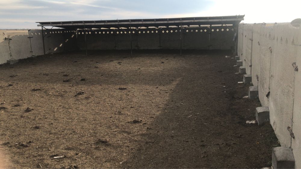 Продается животноводческая база