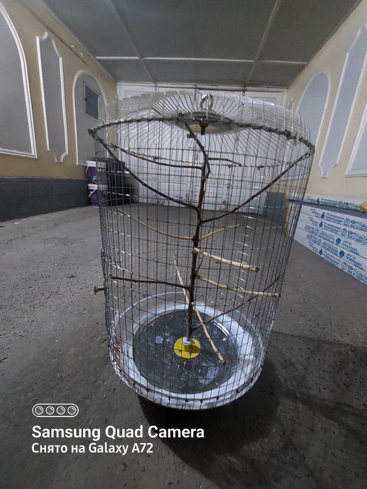 Qafas kanareka totilar uchun