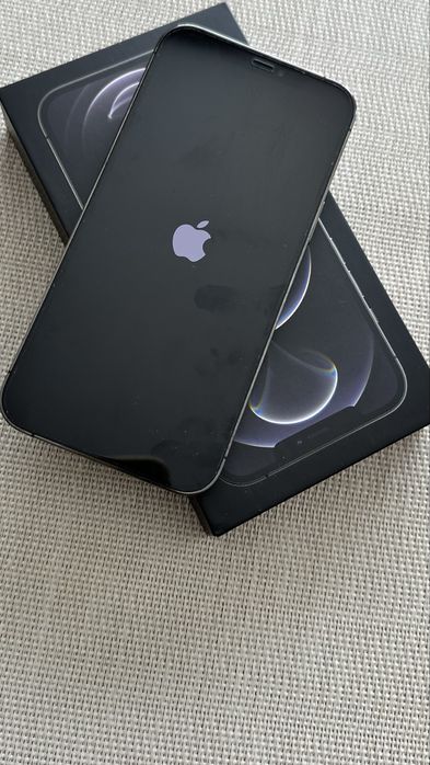 iPhone 12 Pro Max 256 Gb