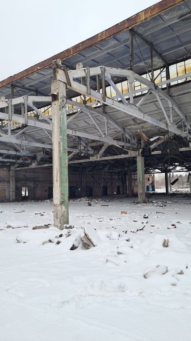 Продам  плиты   разные