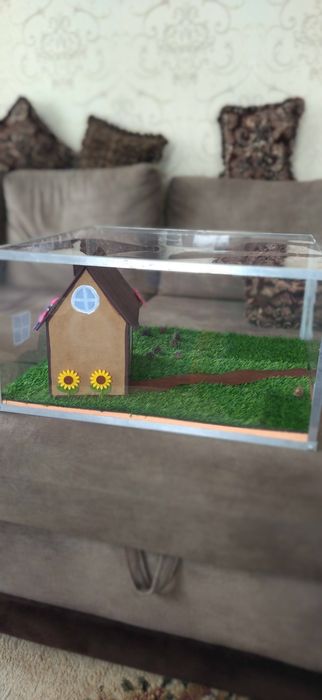 Для детских поделок. В школу. Террариум.