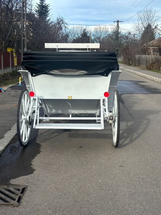 Trasura de  vanazare