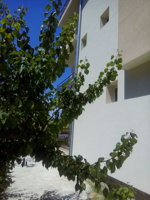 Продава се Къща в с. Равда, Област Бургас - 640 кв.м за 969 €/кв.м - Снимка #3