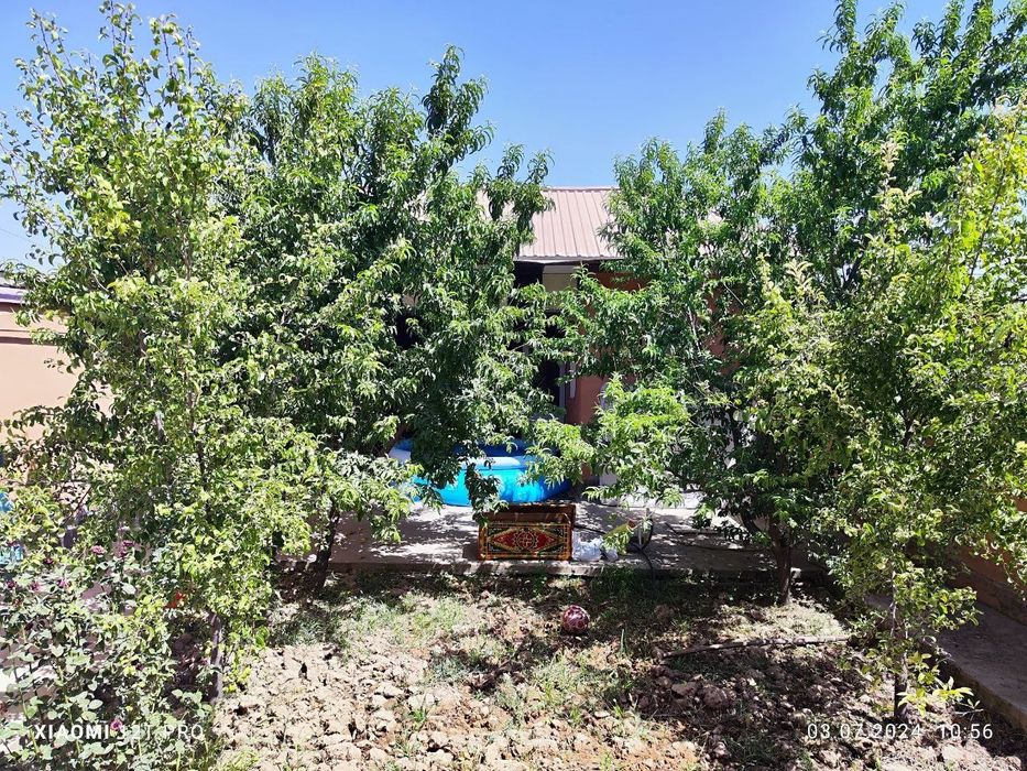 Котеж боғобод 2 сотихли