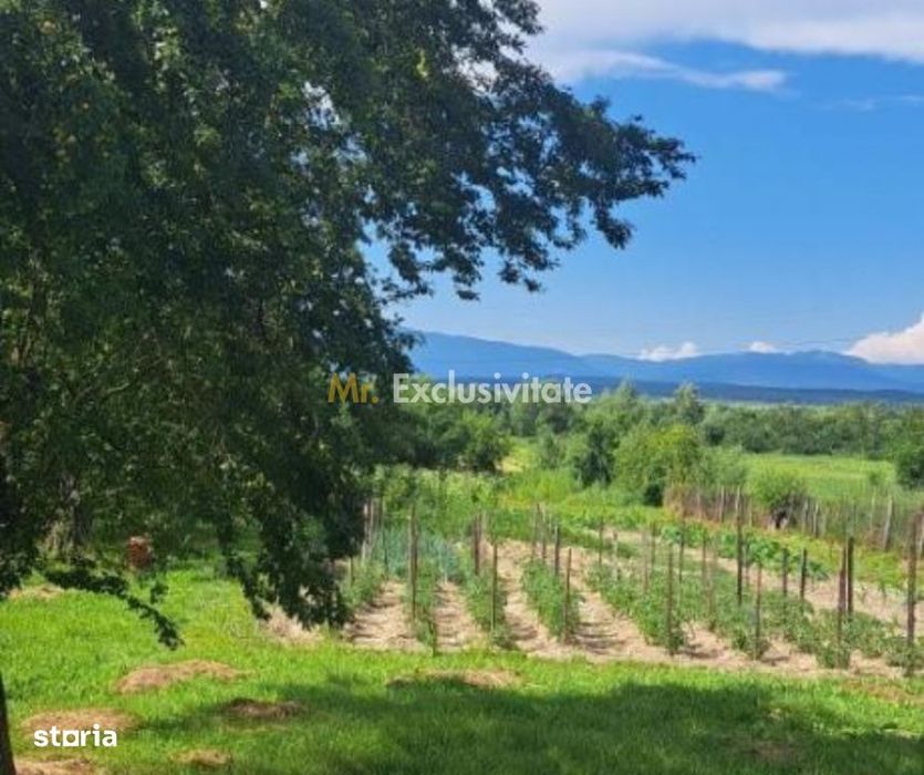 Proprietate cu potențial turistic și agricol | 7.661 mp|Șomanești-GORJ
