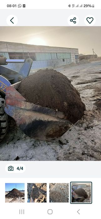 Ески күбір, навоз