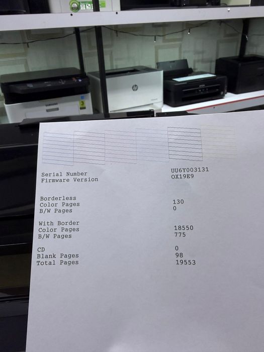 Epson L810. Цветной принтер