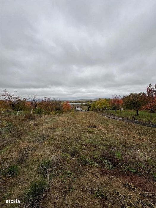 Teren de vanzare Podgoria