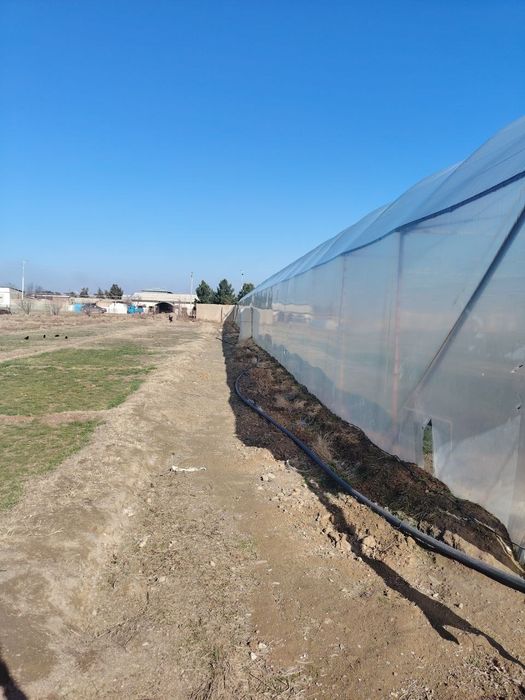 Issiqhona ijaraga beriladi