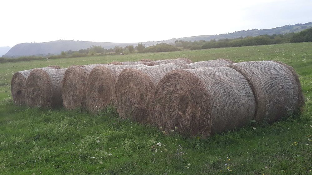 Vand fân, baloti rotunzi ,productie 2025.