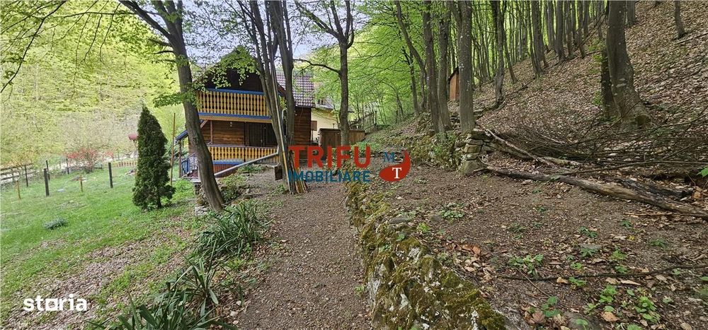 Casă de vacanță la pădure | Teren 891 mp | Valea Ighielului