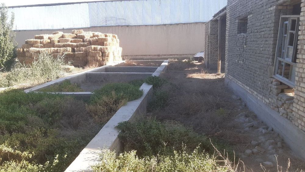 uy,uchastka 12 sotixli