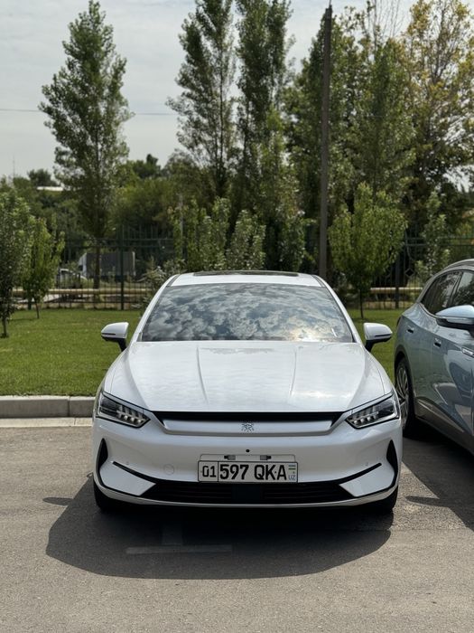 Rent a car / Bez km / arenda