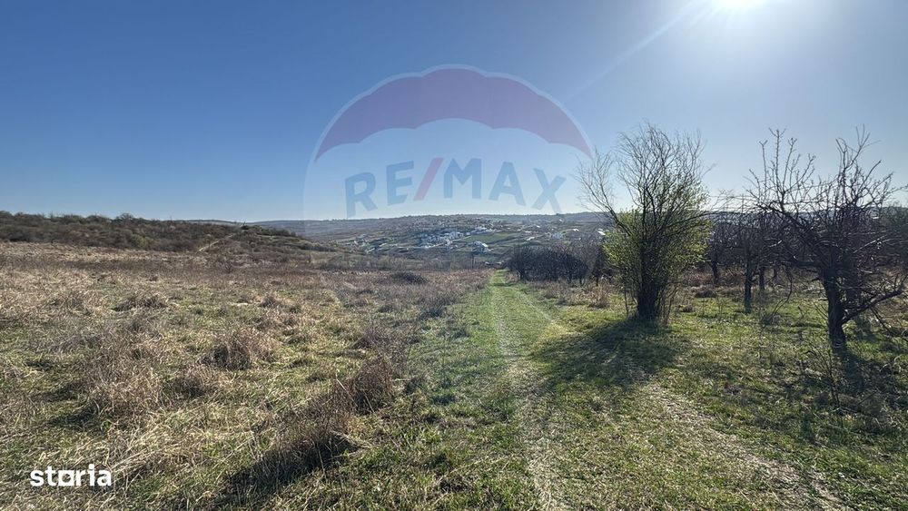 Teren intravilan de vânzare, 1106 mp –Paleu, județul Bihor