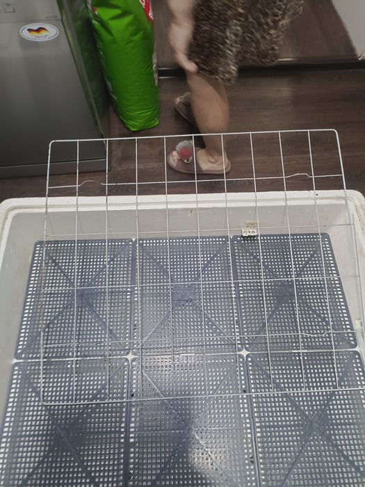 Цифровой автоматический инкубатор