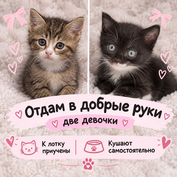 Отдам в добрые руки