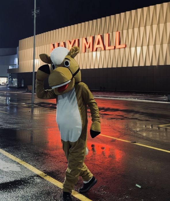 Аниматор Лабубу в аренду