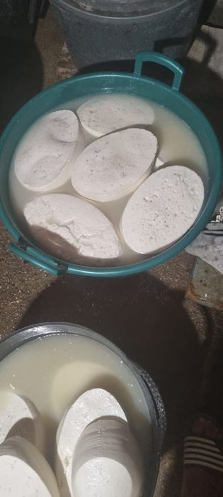 Brânză si lapte  de capră de vânzare