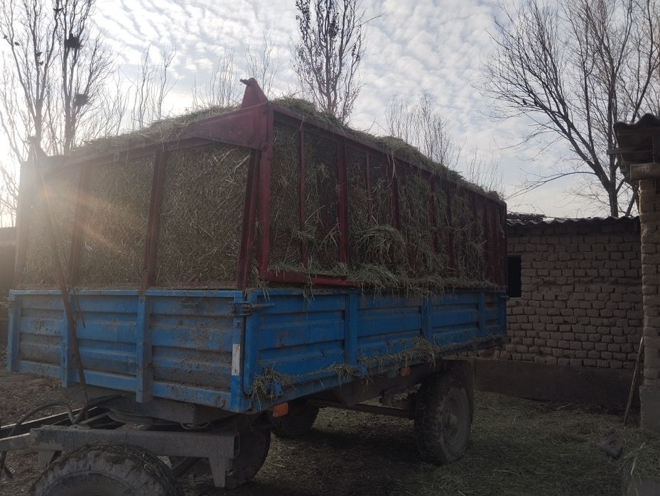 Жоңышқа бар майдаланган