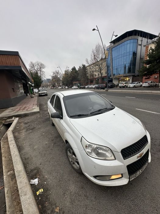 Nexa 3 Avtamat 2019