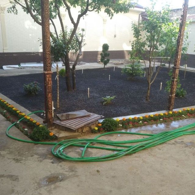 Gazon ekamiz urugʻini sepamiz