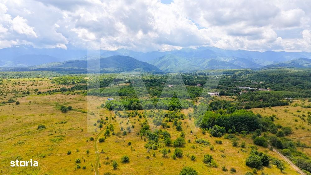 Teren extravilan de vanzare - Valea Avrigului, Sibiu