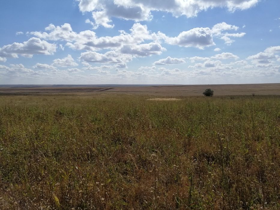 Продам землю под ИЖС жм Серпін или обмен