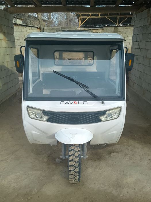 Бензинли муравей/матарол